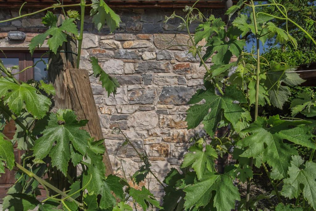 Maison d'hôtes Relais Santa Cristina à Radda in Chianti Extérieur photo